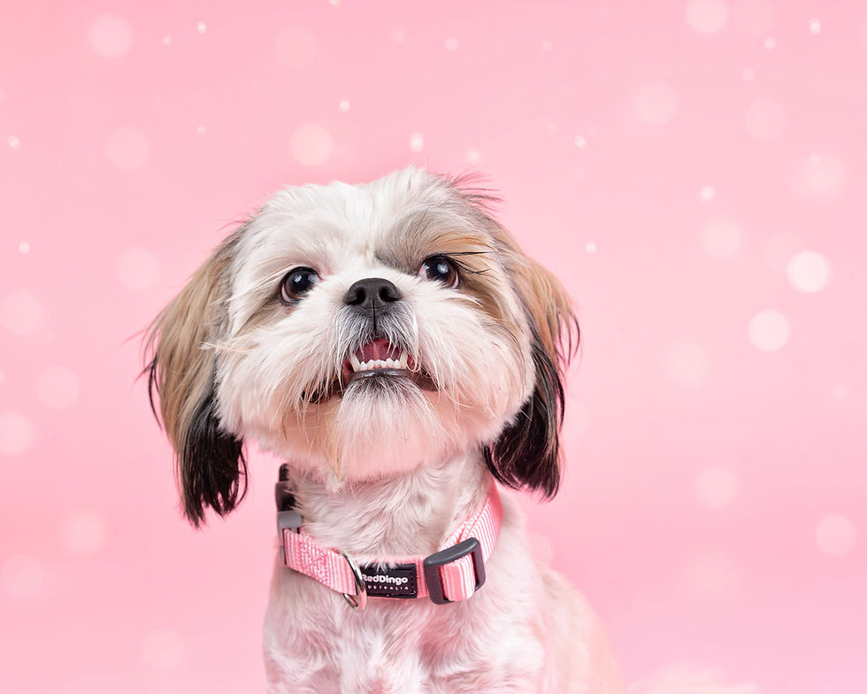 valentines day blog sarah deremer-10