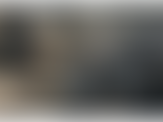 Coming Together for Our Dog Community After the Fires