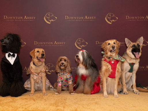 Downton Abbey Premiere Night for Dogs at The London Hotel