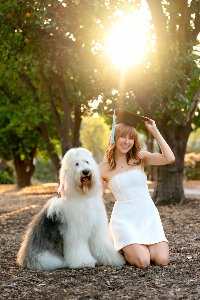 CSUN graduate in cap and gown posing with her rescue sheepdog mix Pepper in the campus rose garden, Los Angeles graduation photographer