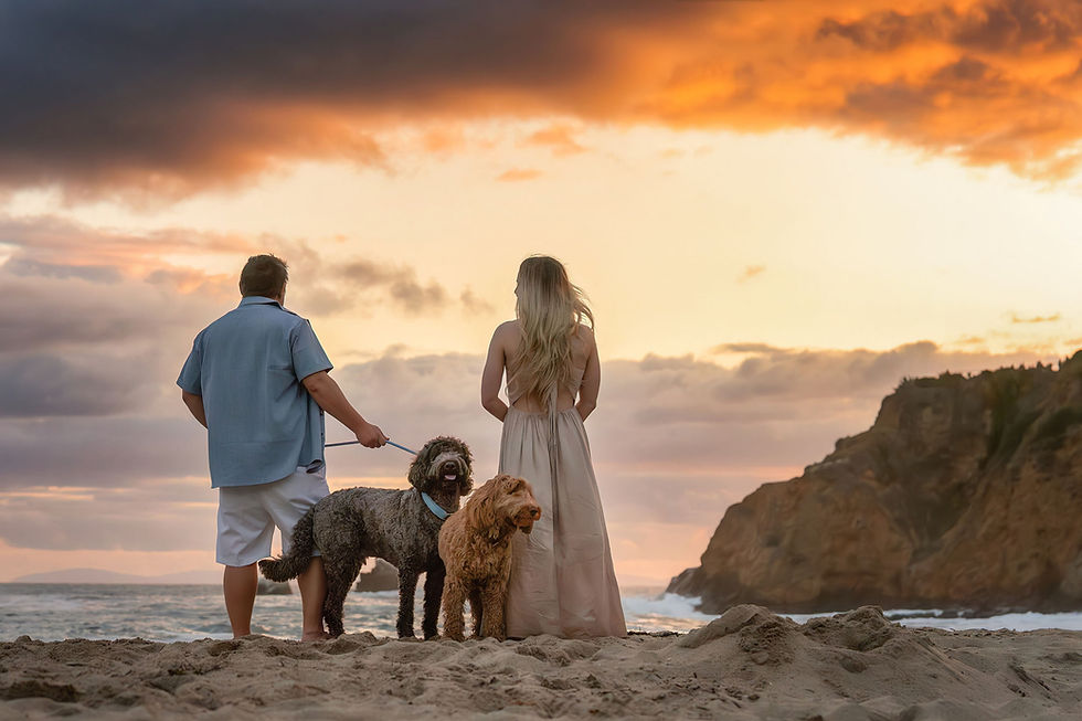 sarah deremer los angeles pet photography california dog cat -32