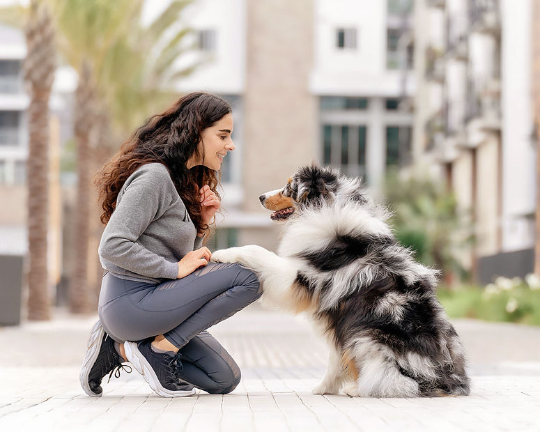 sarah deremer dog photography los angeles california 8.jpg