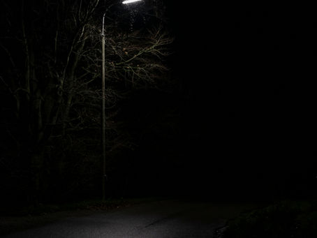LED Street Lights Bring Savings. Can We Do Better for Nature’s Nightlife?