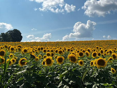When Nature & Small Family Agriculture Is a Gift to Us