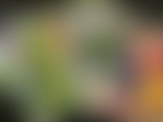 Fighting the Endless Winter Blues