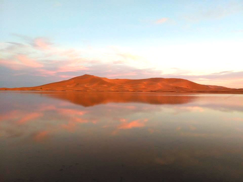 Admiring the Hidden Gem of an Oasis in the Sahara in Morocco. See. Saw.