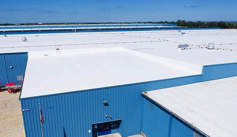 TPO roof