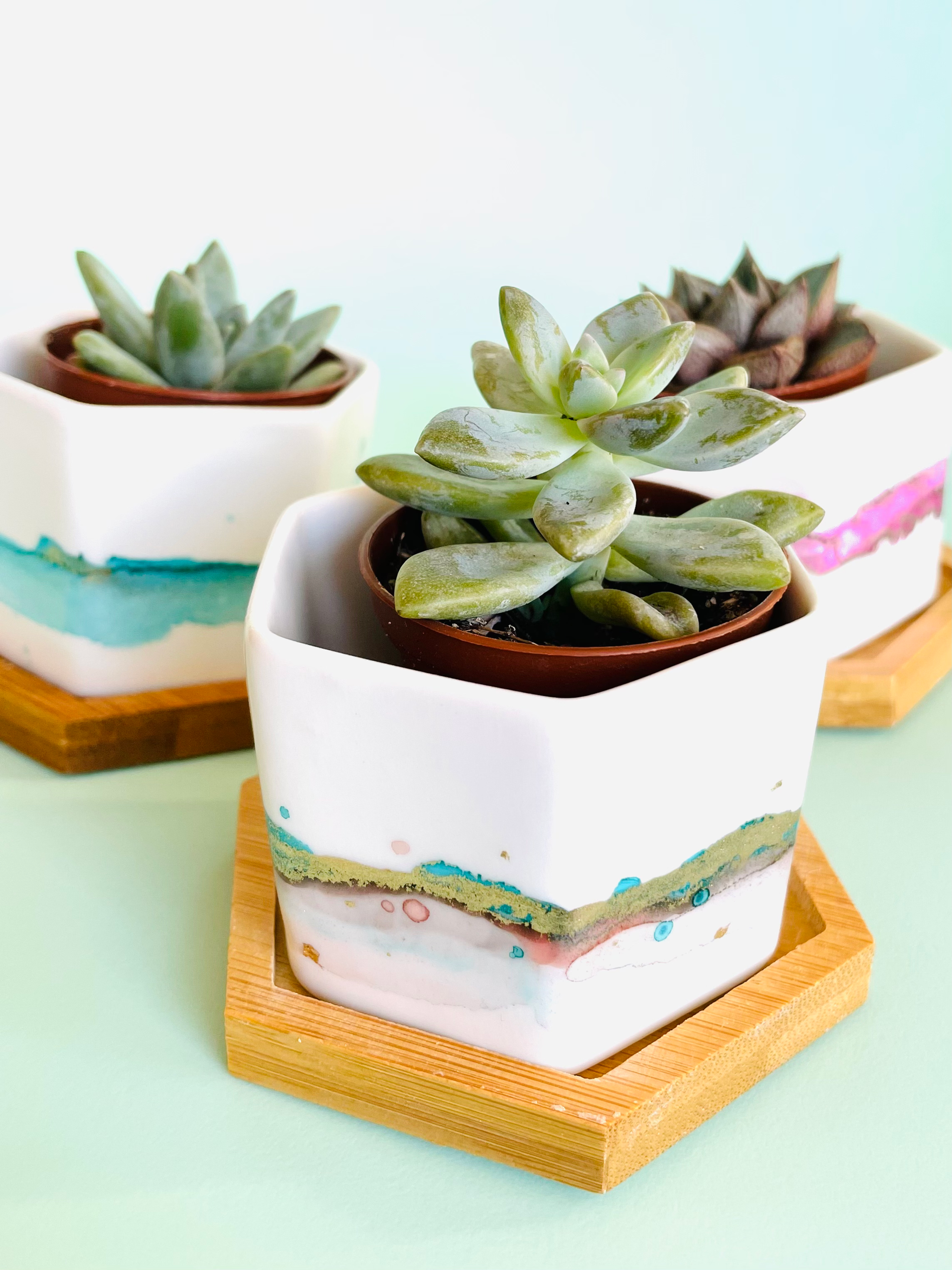 Custom Mini Succulent Planter