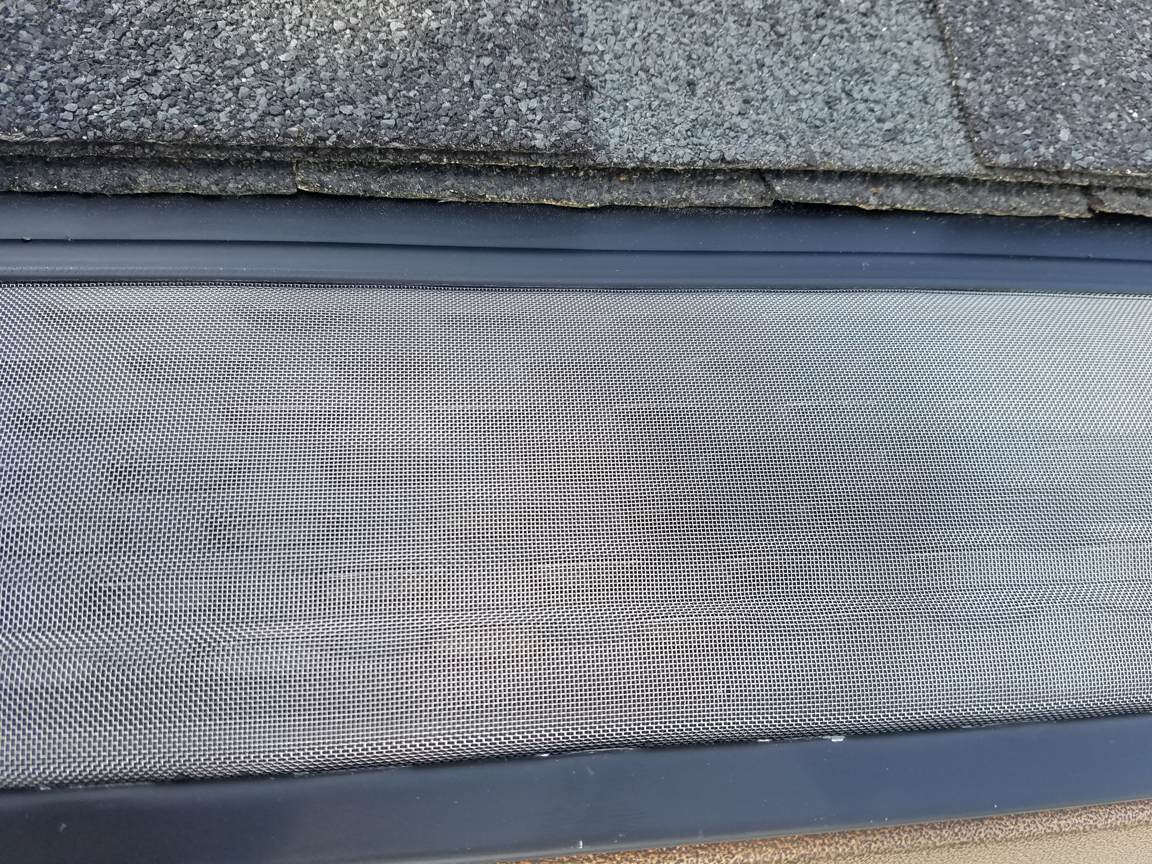 Mesh Guards