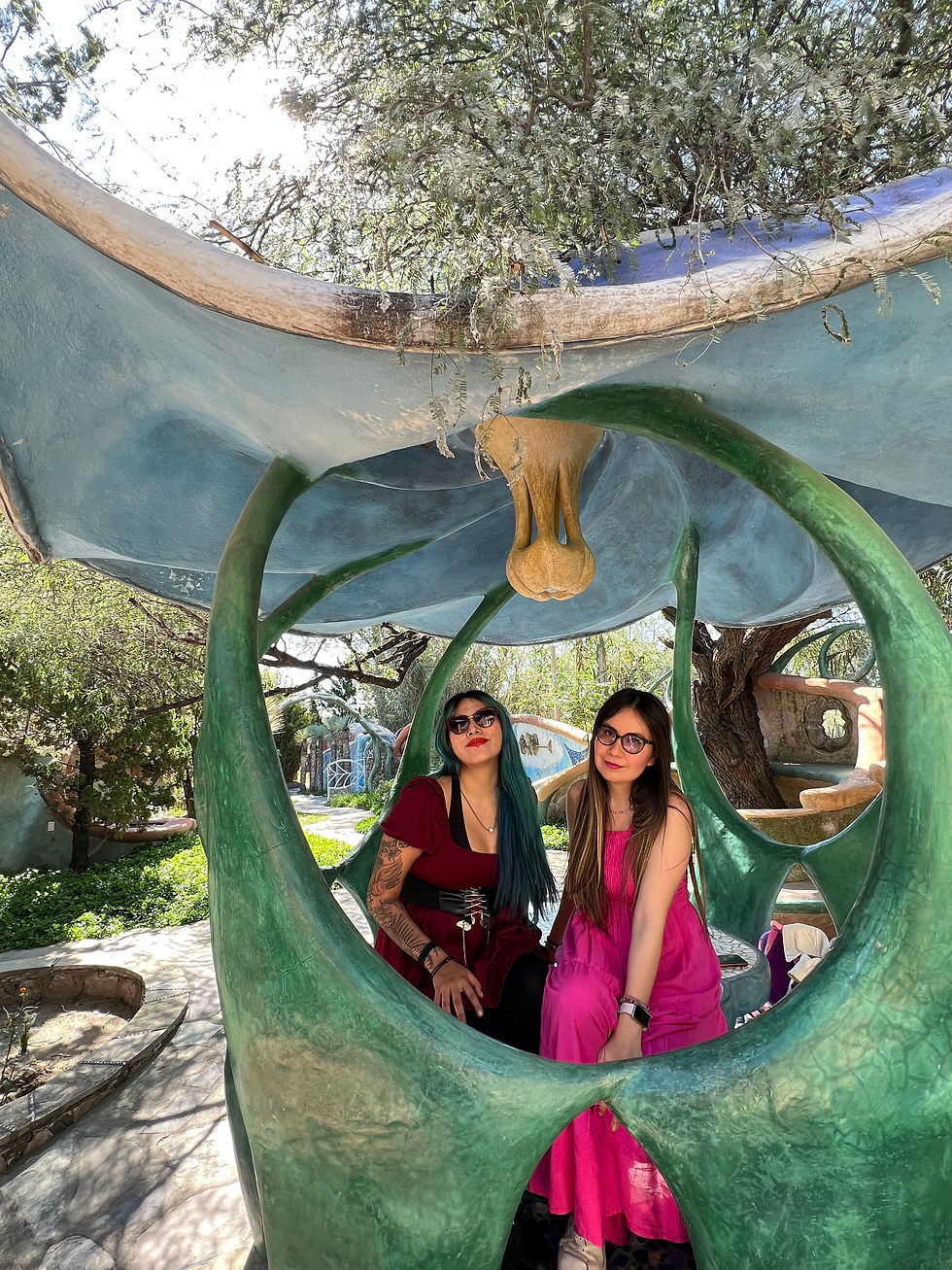 Miniatura: San Miguel de Allende Clásico & Timmyland