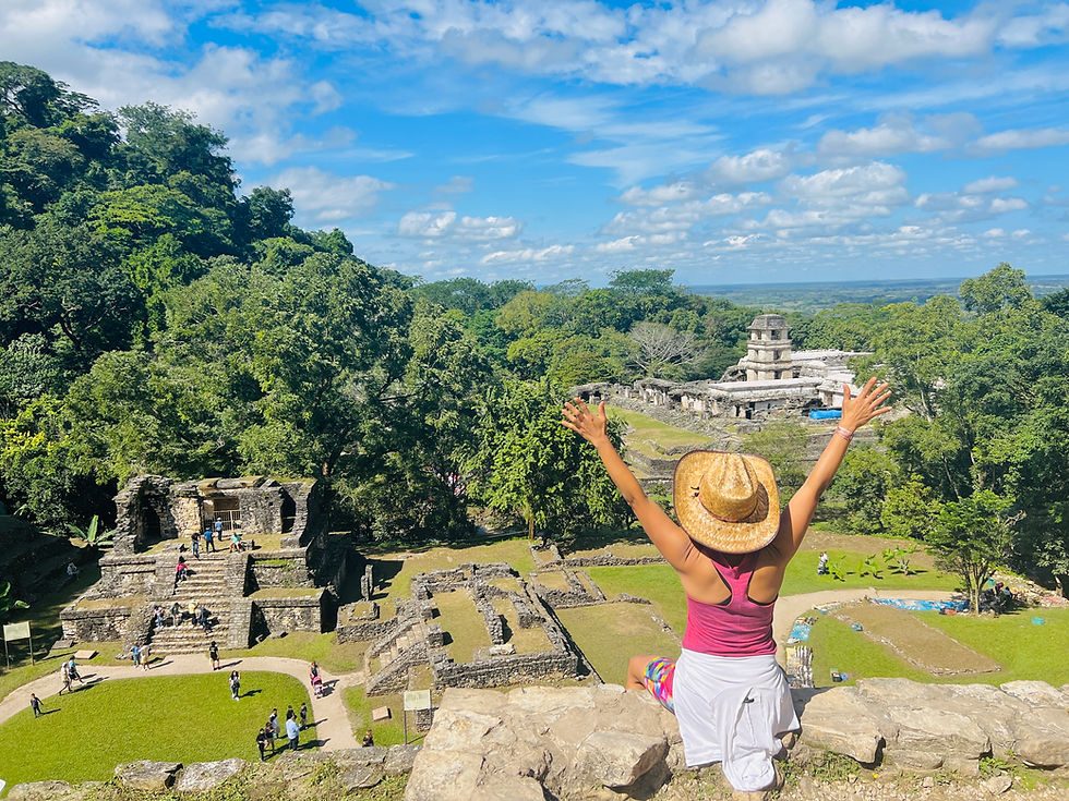 Miniatura: Chiapas Selvático