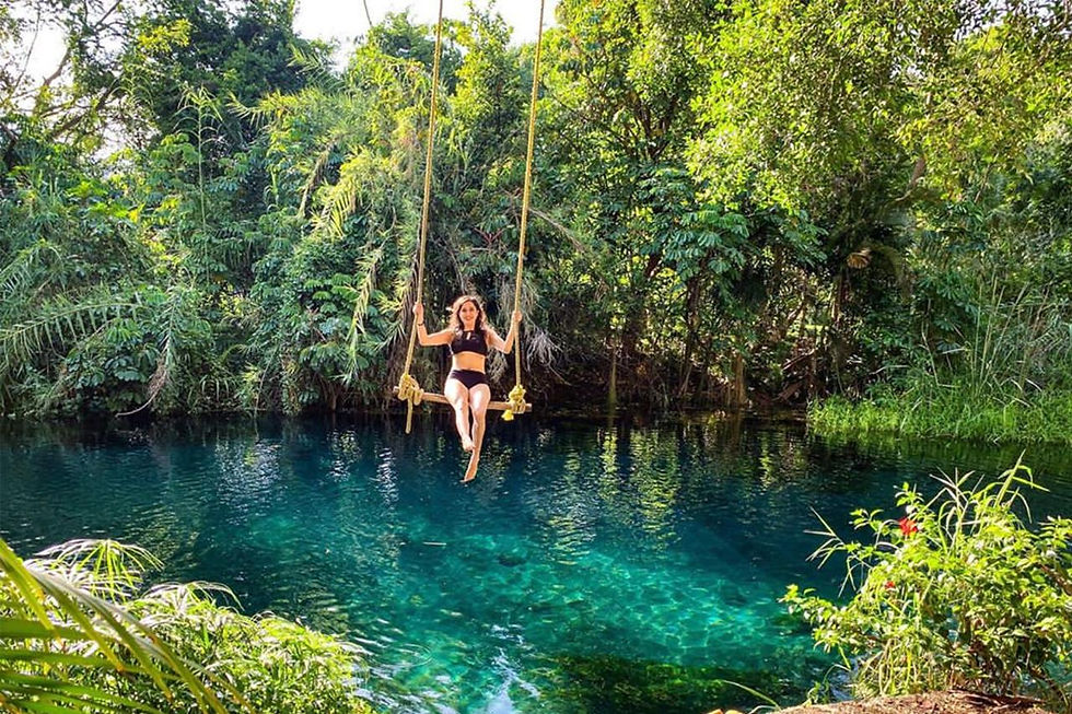 PARQUE ECOTURÍSTICO LAS ESTACAS & YECAPIXTLA