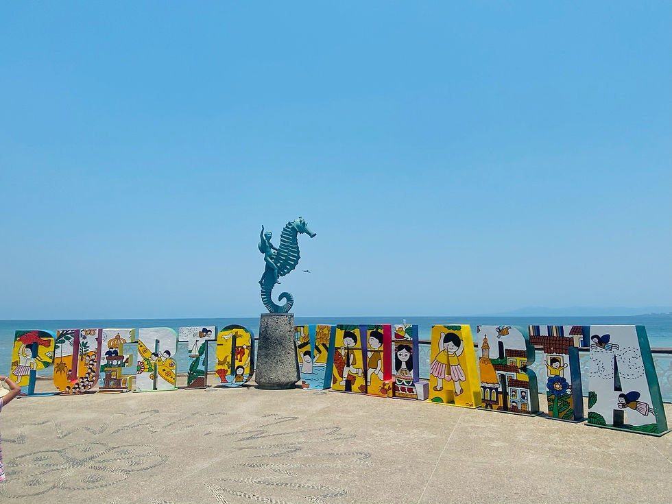 Miniatura: Puerto Vallarta & Islas Marietas