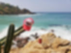 Miniatura: Bioluminiscencia y Playas de Oaxaca