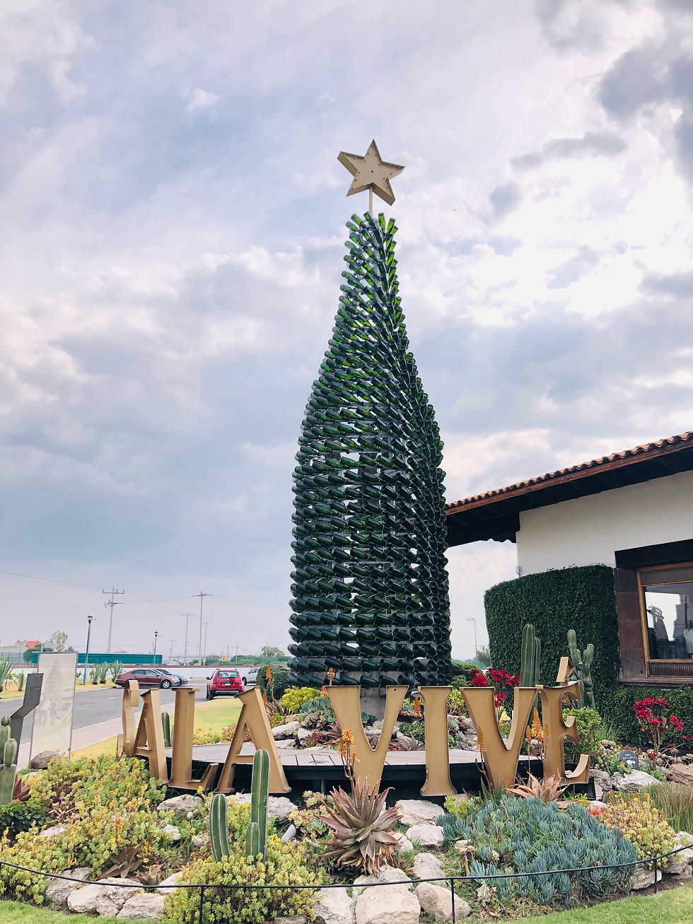 Miniatura: Ruta del Vino Tradicional en Uva Bus