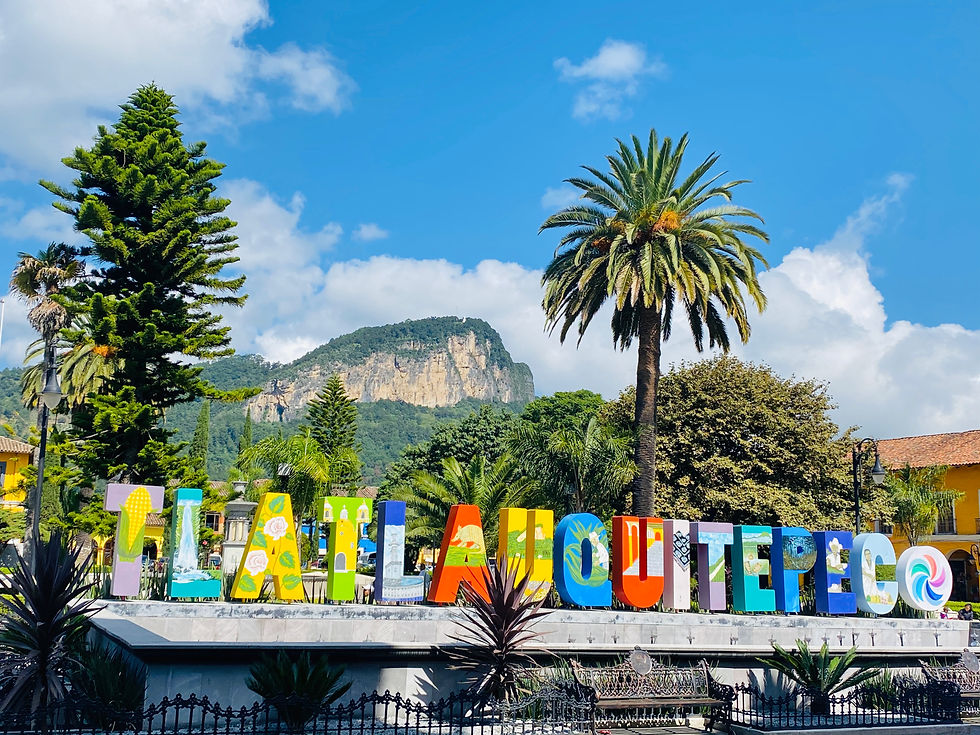 Miniatura: Noches que Brillan: Luciérnagas & Tlatlauquitepec