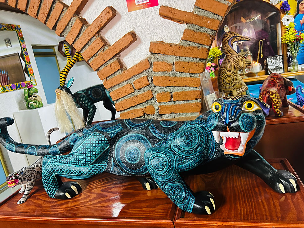 Miniatura: Vive los Colores de Oaxaca