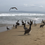 Miniatura: Puerto Vallarta+Islas Marietas + Tequila