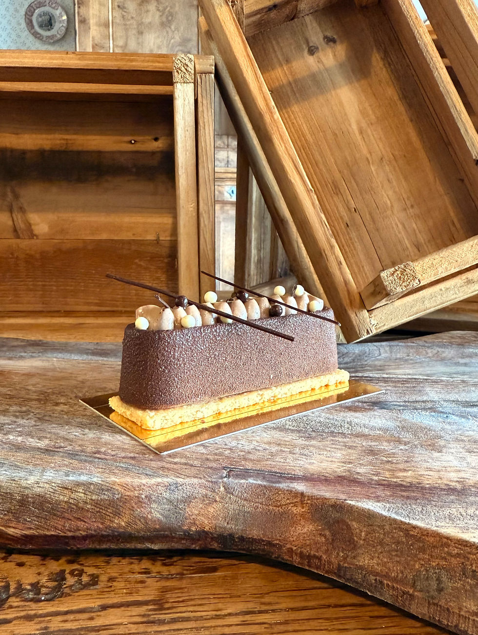 Bûche chocolat et craquant praliné: