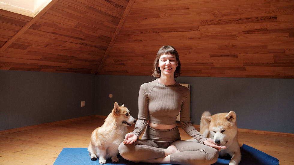 woman meditating her two dogs at her side