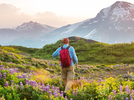 The Five Elements in Ayurveda: Understanding Yourself Through Nature