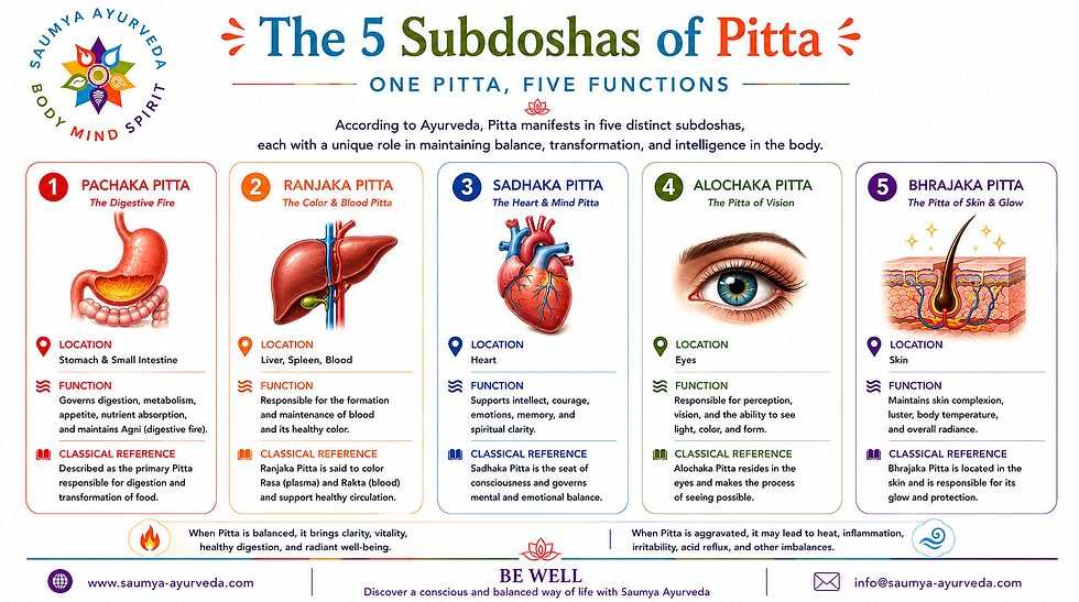 Infographic titled The 5 Subdoshas of Pitta, showing five colored panels with digestive, blood, heart, eye, and skin icons.