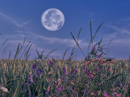 Ayurvedic Moon Bathing to Cool Pitta and Create Calm