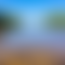 Ayurvedic Remedies for Stress and Anxiety: Natural Ways to Find Calm