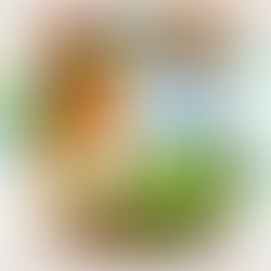 Ritucharya: Ayurveda Seasonal Tips for Enhanced Wellbeing