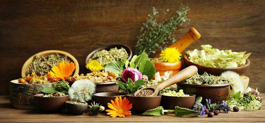 Various herbs and flowers in wooden bowls and a mortar on a wooden table. Bright petals and green leaves enhance the natural setting.