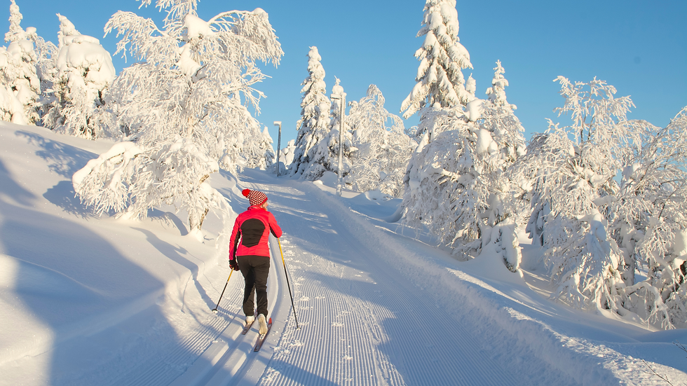 Person in red skiing uphill on a snowy trail surrounded by snow-covered trees under a clear blue sky. Peaceful winter scene.