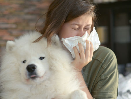 The Healing Power of Ayurveda: Managing Asthma and Allergies Naturally