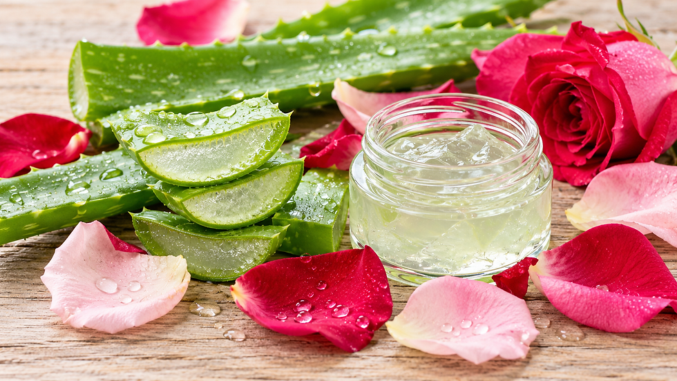 Aloe vera slices and gel in a glass jar surrounded by pink and red rose petals on a wooden surface.