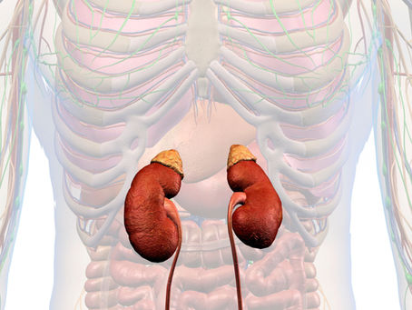 Uncover the Connection: Ayurvedic Nail Assessment and Adrenal Health