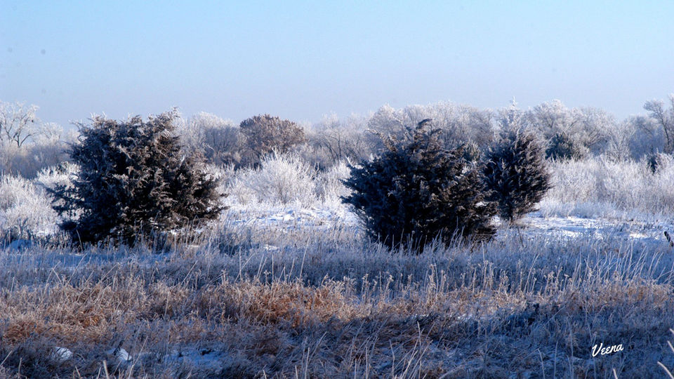 snowy day in the desert