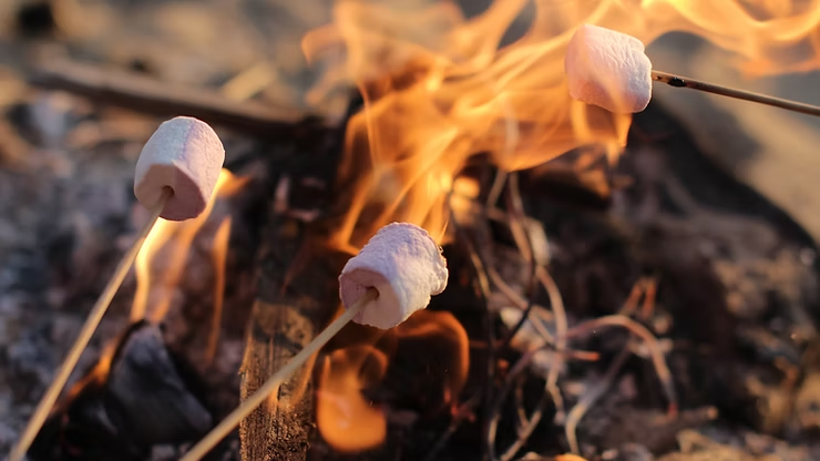 Three marshmallows on sticks roast over a campfire, with bright orange flames and charred wood in a cozy outdoor scene.