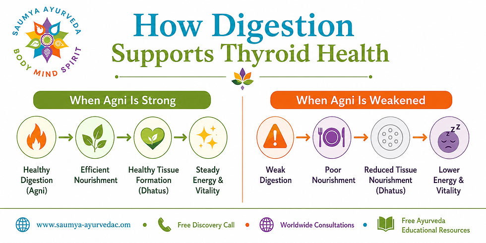 Infographic titled How Digestion Supports Thyroid Health, with strong vs weakened Agni shown in green and orange panels.