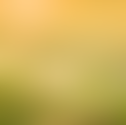 Ayurvedic Spring Cleanse Guide: Balance Kapha, Eliminate Ama, and Feel Light Again