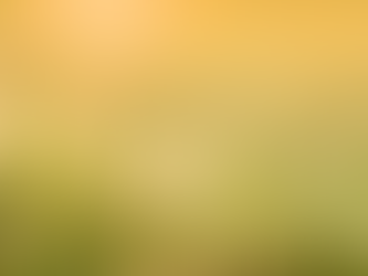 Ayurvedic Spring Cleanse Guide: Balance Kapha, Eliminate Ama, and Feel Light Again