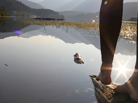Exploring the Healing Power of Ayurveda: Benefits for Mind, Body, and Soul.