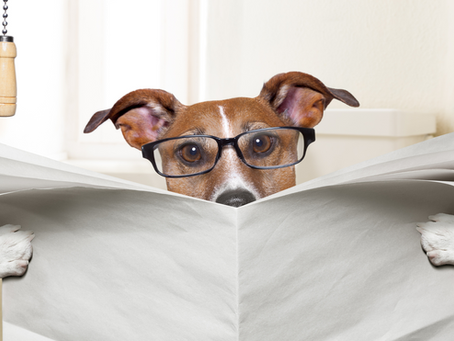 Vata Stool Analysis: What's a Vata Poo and What To Do?