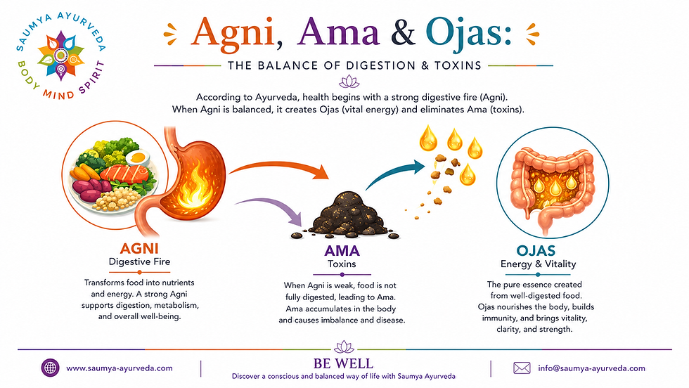Ayurveda infographic showing Agni digestive fire, Ama toxins, and Ojas vitality with food, stomach, and intestines icons.