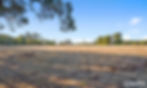 Dry grassy field with scattered trees under a clear blue sky, with LJ Hooker watermark in the corner