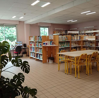 CDI_BDE_Image2.jpg
