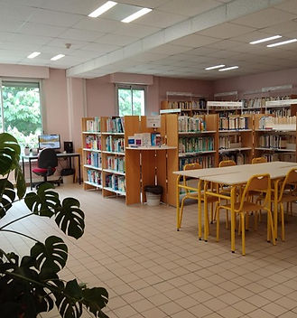 CDI_BDE_Image2.jpg