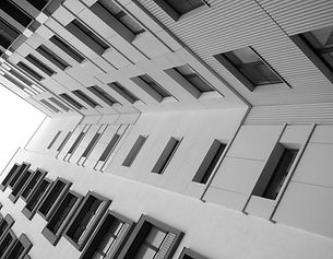 AdobeStock_151337965_edited.jpg