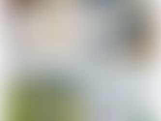 Quand les établissements de santé se rencontrent : le pouvoir du partage et du leadership curieux