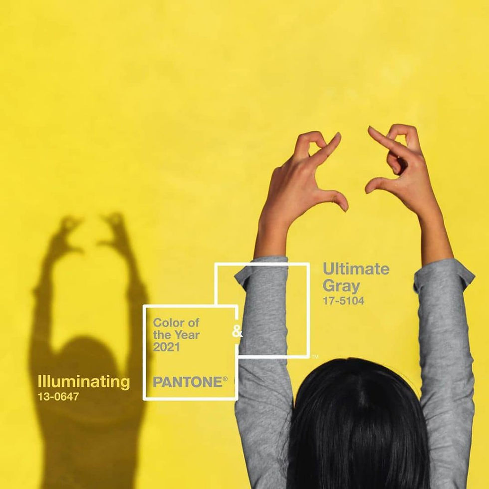 https://www.pantone.com/