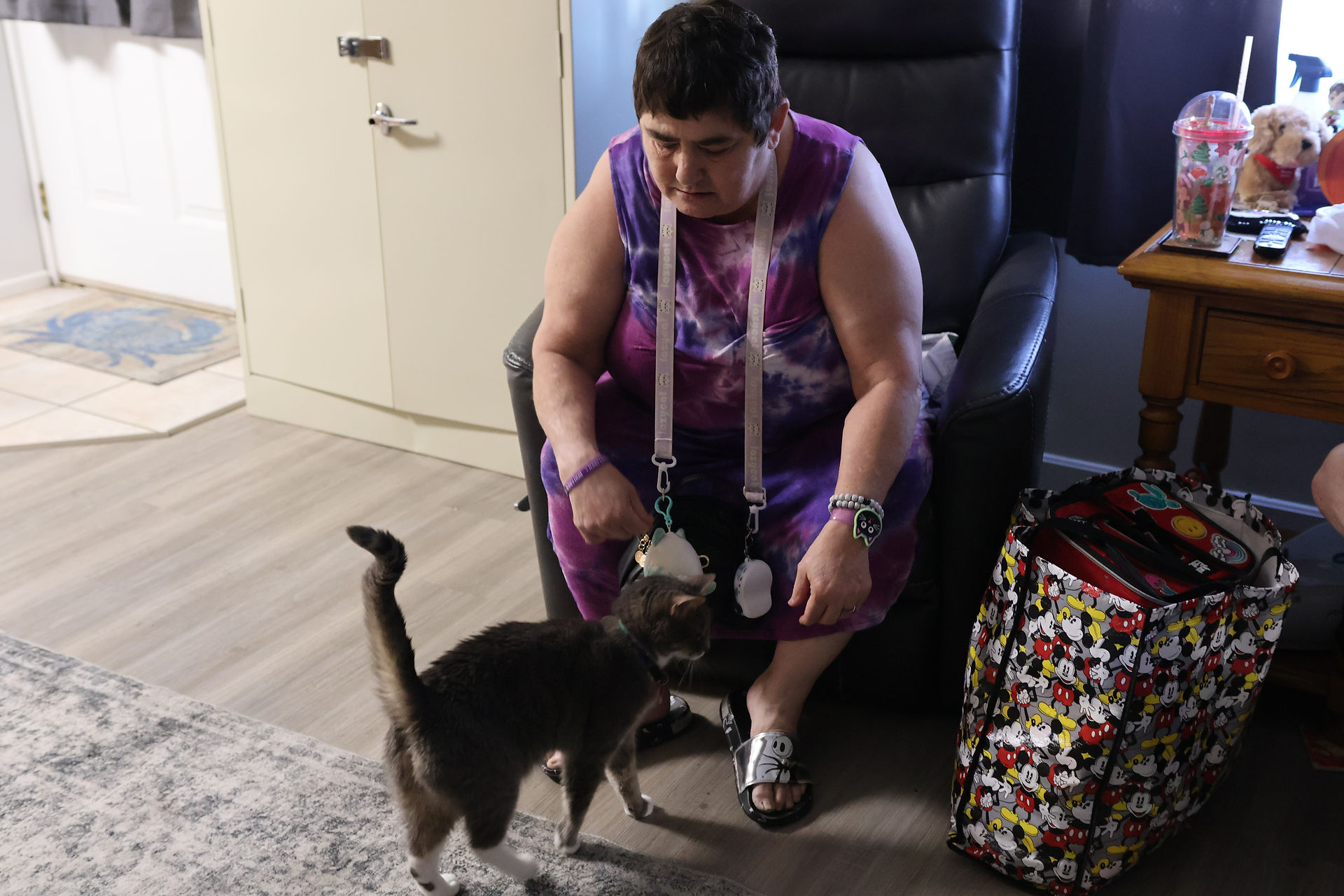 A person in a purple dress, seated in a recliner, gently interacts with a gray cat. A colorful bag and wooden table with items are nearby, creating a cozy atmosphere.