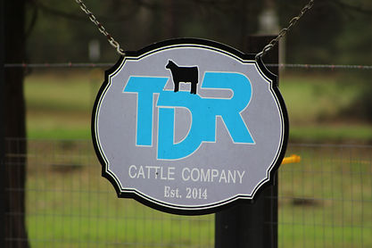 TDR CC.JPG